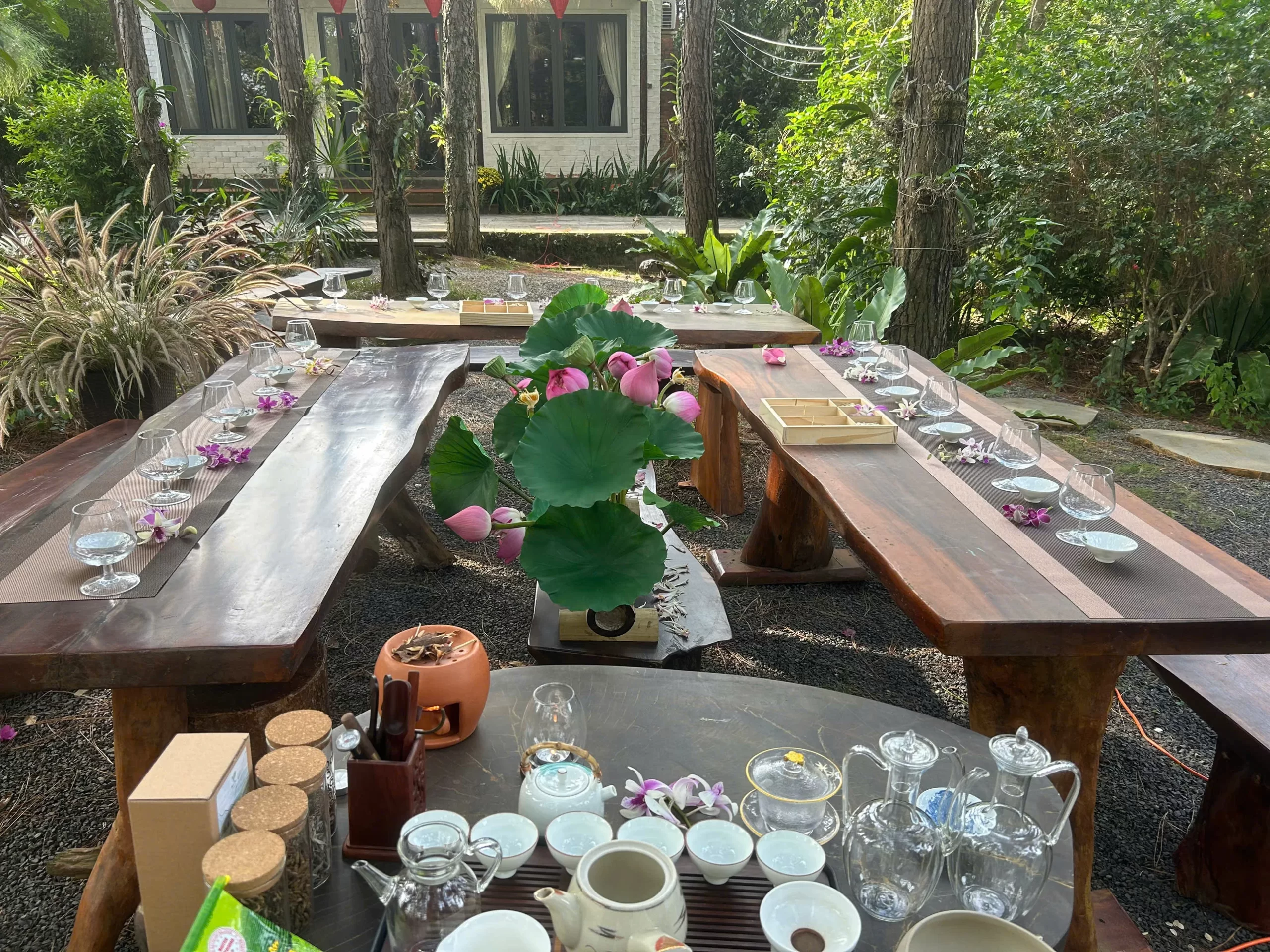 DUỆ TÂM TRÀ – Kết nối, chữa lành và lan tỏa văn hóa trà Việt