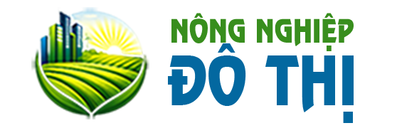 Trang chủ - Công Ty Cổ phần LDT